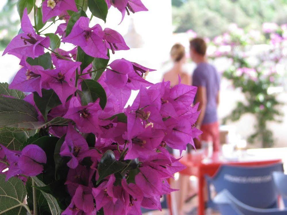 Cosmos Grand Hostal Sant Francesc de s'Estany المظهر الخارجي الصورة